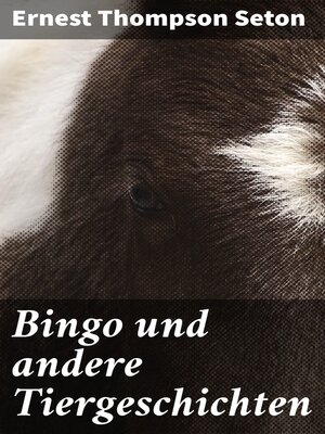 cover image of Bingo und andere Tiergeschichten